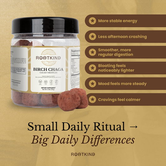 Birch Chaga Cacao Truffles